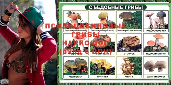 спайс Алексин