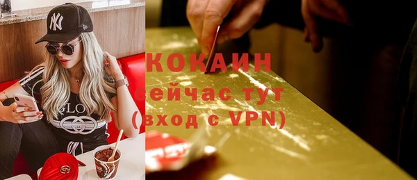 спайс Алексин