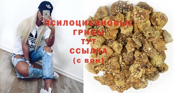 стафф Алексеевка