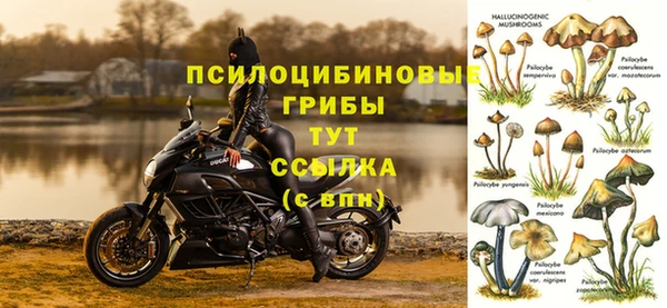 стафф Алексеевка