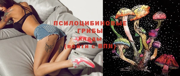 МДПВ Осинники