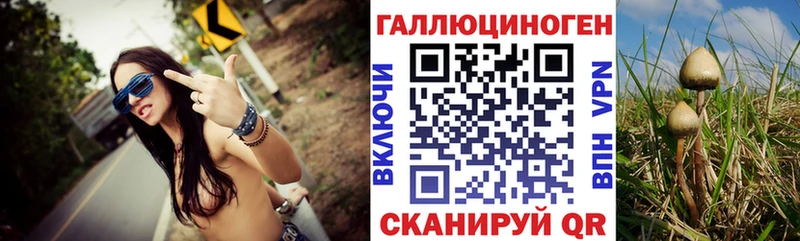 Псилоцибиновые грибы мицелий  где продают наркотики  Анива 